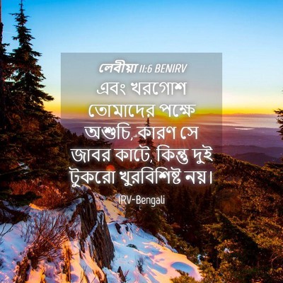 Picture 04 - লেবীয়া 11:6 BENIRV - এবং খরগোশ তোমাদের - Bible Verse Picture