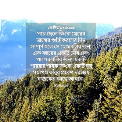Picture 04 - লেবীয়া 12:6 BENIRV - পরে ছেলে কিংবা - Bible Verse Picture