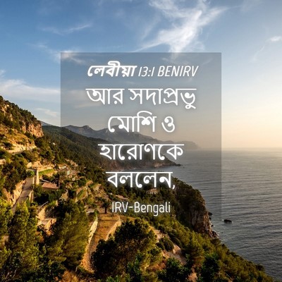 Picture 04 - লেবীয়া 13:1 BENIRV - আর সদাপ্রভু মোশি ও - Bible Verse Picture