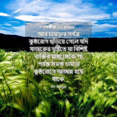 Picture 04 - লেবীয়া 13:12 BENIRV - আর চামড়ার - Bible Verse Picture