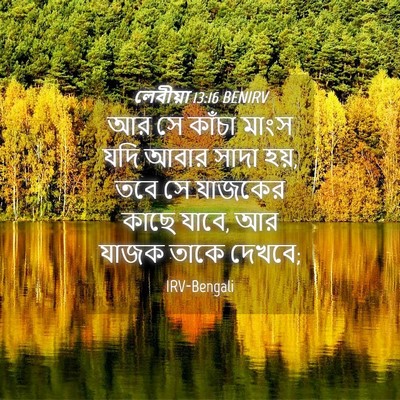 Picture 04 - লেবীয়া 13:16 BENIRV - আর সে কাঁচা মাংস - Bible Verse Picture