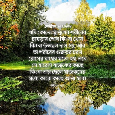 Picture 04 - লেবীয়া 13:2 BENIRV - যদি কোনো মানুষের - Bible Verse Picture