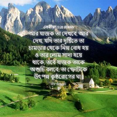 Picture 04 - লেবীয়া 13:20 BENIRV - আর যাজক তা দেখবে, - Bible Verse Picture