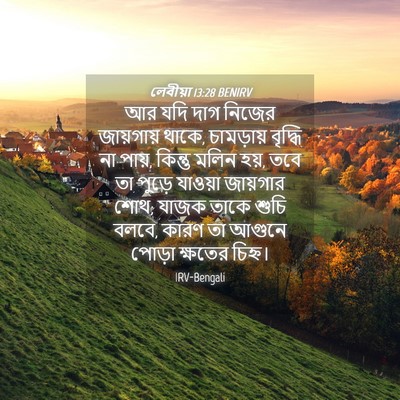 Picture 04 - লেবীয়া 13:28 BENIRV - আর যদি দাগ নিজের - Bible Verse Picture