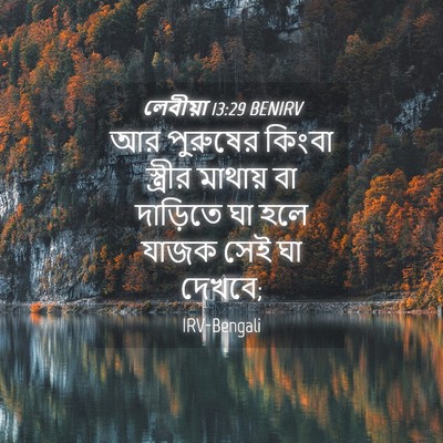 Picture 04 - লেবীয়া 13:29 BENIRV - আর পুরুষের কিংবা - Bible Verse Picture