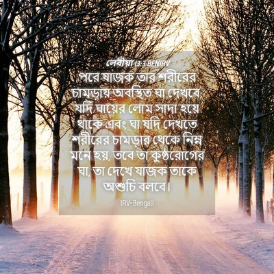 Picture 04 - লেবীয়া 13:3 BENIRV - পরে যাজক তার - Bible Verse Picture
