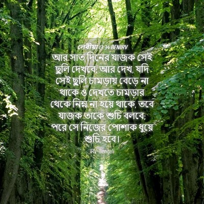 Picture 04 - লেবীয়া 13:34 BENIRV - আর সাত দিনের যাজক - Bible Verse Picture
