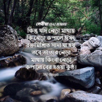 Picture 04 - লেবীয়া 13:42 BENIRV - কিন্তু যদি নেড়া - Bible Verse Picture