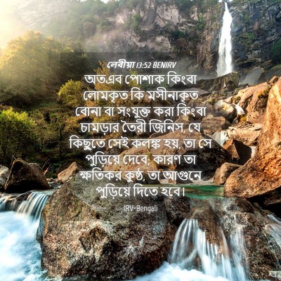 Picture 04 - লেবীয়া 13:52 BENIRV - অতএব পোশাক কিংবা - Bible Verse Picture