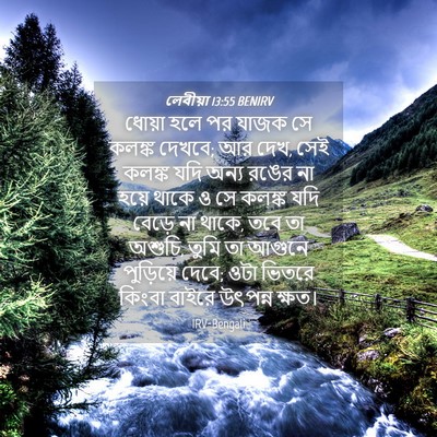 Picture 04 - লেবীয়া 13:55 BENIRV - ধোয়া হলে পর যাজক - Bible Verse Picture