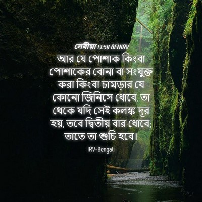 Picture 04 - লেবীয়া 13:58 BENIRV - আর যে পোশাক কিংবা - Bible Verse Picture
