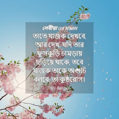Picture 04 - লেবীয়া 13:8 BENIRV - তাতে যাজক দেখবে, আর - Bible Verse Picture