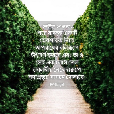 Picture 04 - লেবীয়া 14:12 BENIRV - পরে যাজক একটি - Bible Verse Picture