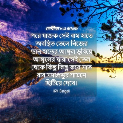Picture 04 - লেবীয়া 14:16 BENIRV - পরে যাজক সেই বাম - Bible Verse Picture