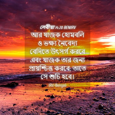 Picture 04 - লেবীয়া 14:20 BENIRV - আর যাজক হোমবলি ও - Bible Verse Picture