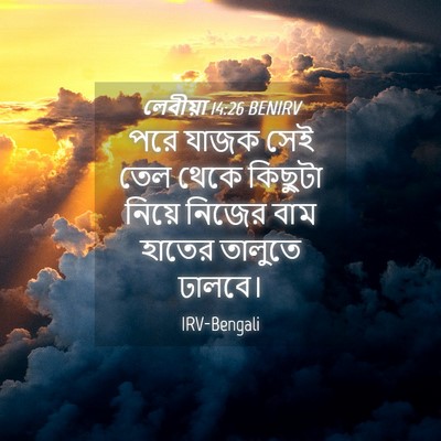 Picture 04 - লেবীয়া 14:26 BENIRV - পরে যাজক সেই তেল - Bible Verse Picture