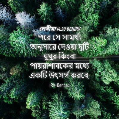 Picture 04 - লেবীয়া 14:30 BENIRV - পরে সে সামর্থ্য - Bible Verse Picture