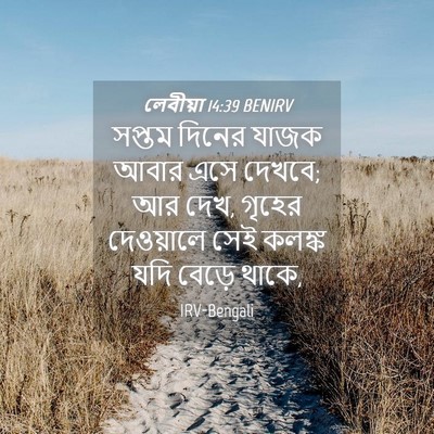 Picture 04 - লেবীয়া 14:39 BENIRV - সপ্তম দিনের যাজক - Bible Verse Picture