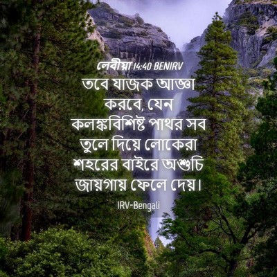 Picture 04 - লেবীয়া 14:40 BENIRV - তবে যাজক আজ্ঞা - Bible Verse Picture