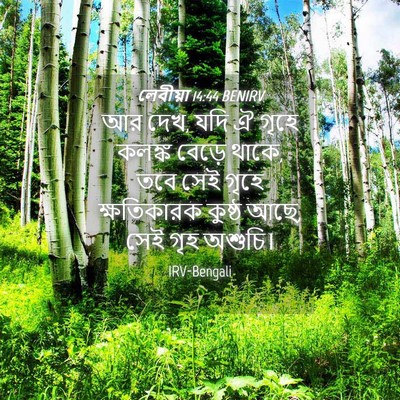 Picture 04 - লেবীয়া 14:44 BENIRV - আর দেখ, যদি ঐ গৃহে - Bible Verse Picture