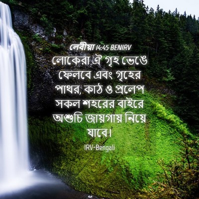 Picture 04 - লেবীয়া 14:45 BENIRV - লোকেরা ঐ গৃহ ভেঙে - Bible Verse Picture