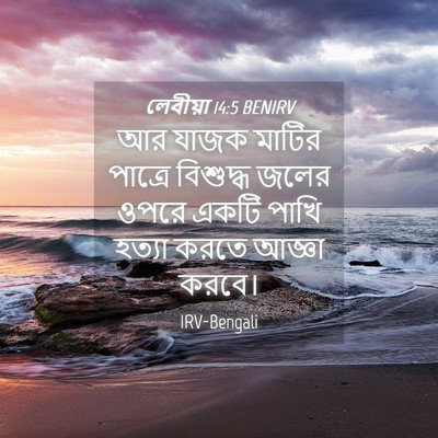 Picture 04 - লেবীয়া 14:5 BENIRV - আর যাজক মাটির - Bible Verse Picture