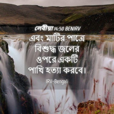Picture 04 - লেবীয়া 14:50 BENIRV - এবং মাটির পাত্রে - Bible Verse Picture