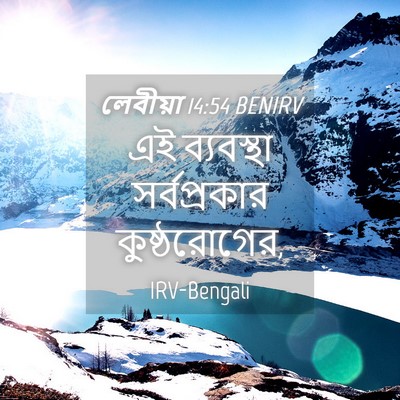 Picture 04 - লেবীয়া 14:54 BENIRV - এই ব্যবস্থা - Bible Verse Picture