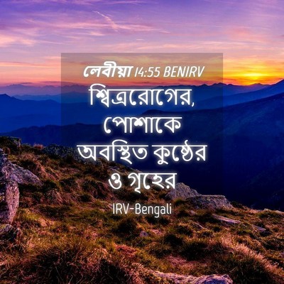 Picture 04 - লেবীয়া 14:55 BENIRV - শ্বিত্ররোগের, - Bible Verse Picture