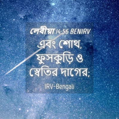 Picture 04 - লেবীয়া 14:56 BENIRV - এবং শোথ, ফুসকুড়ি ও - Bible Verse Picture