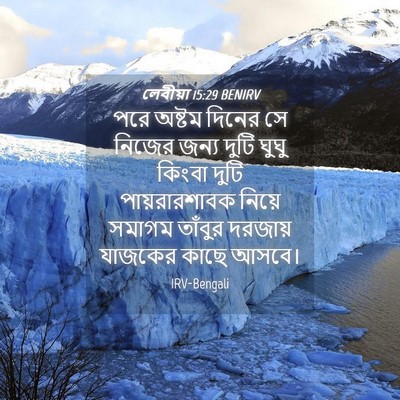 Picture 04 - লেবীয়া 15:29 BENIRV - পরে অষ্টম দিনের সে - Bible Verse Picture