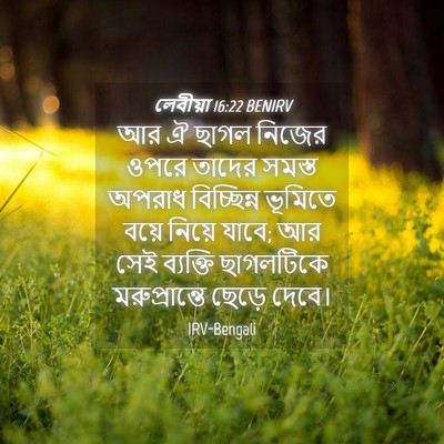Picture 04 - লেবীয়া 16:22 BENIRV - আর ঐ ছাগল নিজের - Bible Verse Picture