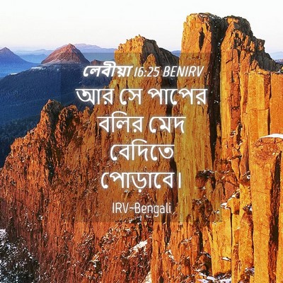 Picture 04 - লেবীয়া 16:25 BENIRV - আর সে পাপের বলির - Bible Verse Picture