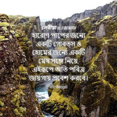 Picture 04 - লেবীয়া 16:3 BENIRV - হারোণ পাপের জন্যে - Bible Verse Picture