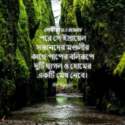 Picture 04 - লেবীয়া 16:5 BENIRV - পরে সে ইস্রায়েল - Bible Verse Picture