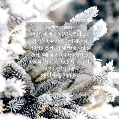 Picture 04 - লেবীয়া 17:11 BENIRV - কারণ রক্তের - Bible Verse Picture