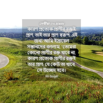 Picture 04 - লেবীয়া 17:14 BENIRV - কারণ প্রত্যেক - Bible Verse Picture