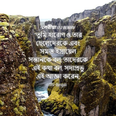 Picture 04 - লেবীয়া 17:2 BENIRV - “তুমি হারোণ ও তার - Bible Verse Picture