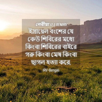 Picture 04 - লেবীয়া 17:3 BENIRV - ইস্রায়েল বংশের - Bible Verse Picture