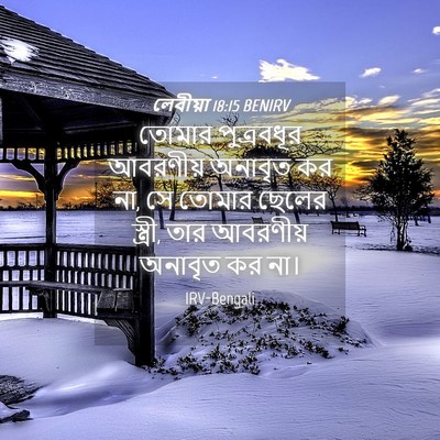 Picture 04 - লেবীয়া 18:15 BENIRV - তোমার পুত্রবধূর - Bible Verse Picture