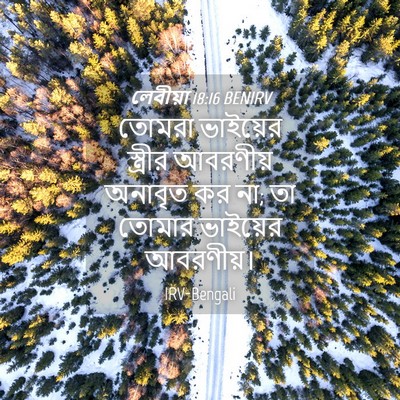 Picture 04 - লেবীয়া 18:16 BENIRV - তোমরা ভাইয়ের - Bible Verse Picture