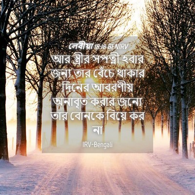Picture 04 - লেবীয়া 18:18 BENIRV - আর স্ত্রীর সপত্নী - Bible Verse Picture