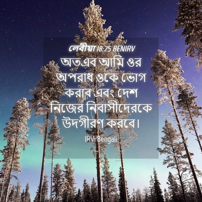 Picture 04 - লেবীয়া 18:25 BENIRV - অতএব আমি ওর অপরাধ - Bible Verse Picture