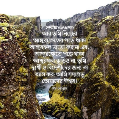 Picture 04 - লেবীয়া 19:10 BENIRV - আর তুমি নিজের - Bible Verse Picture