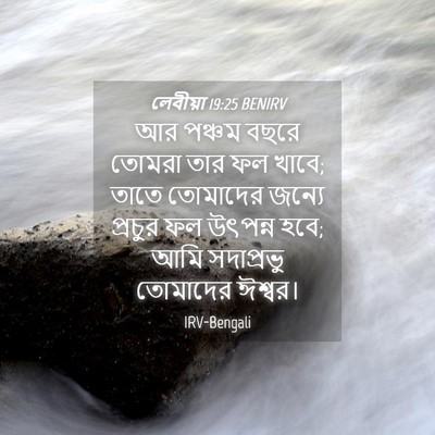 Picture 04 - লেবীয়া 19:25 BENIRV - আর পঞ্চম বছরে - Bible Verse Picture