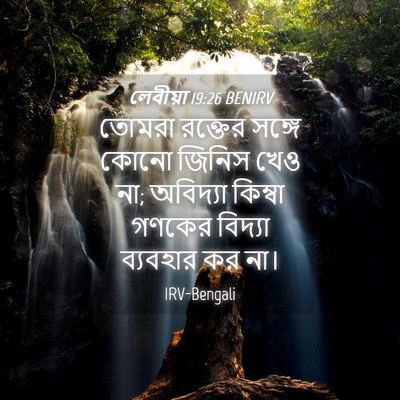 Picture 04 - লেবীয়া 19:26 BENIRV - তোমরা রক্তের - Bible Verse Picture