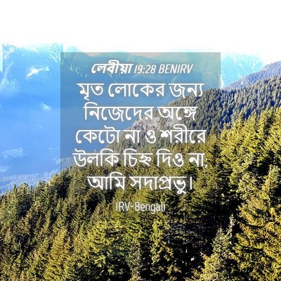 Picture 04 - লেবীয়া 19:28 BENIRV - মৃত লোকের জন্য - Bible Verse Picture