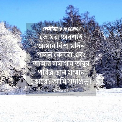 Picture 04 - লেবীয়া 19:30 BENIRV - তোমরা অবশ্যই আমার - Bible Verse Picture