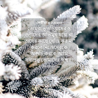 Picture 04 - লেবীয়া 19:31 BENIRV - তোমরা - Bible Verse Picture