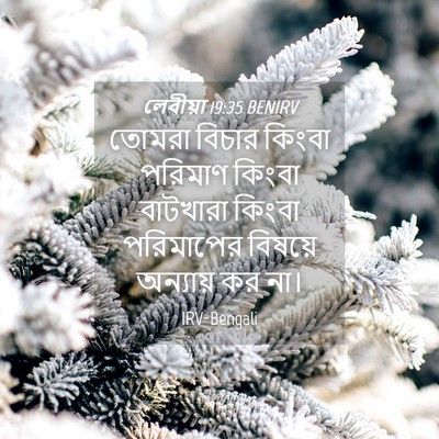 Picture 04 - লেবীয়া 19:35 BENIRV - তোমরা বিচার কিংবা - Bible Verse Picture